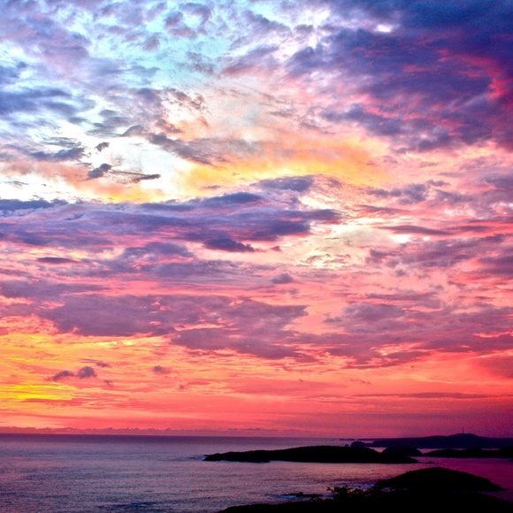 Meet your Posher, Michelle - Picture 1 of 1